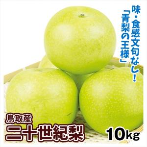 梨 二十世紀梨 20世紀梨 10kg詰 なし ナシ（S-3L 24-48個）（ご自宅用