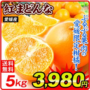 みかん 5kg 愛媛産 紅まどんな ご家庭用 無選別 送料無料 蜜柑 食品 フルーツ 果物 国華園