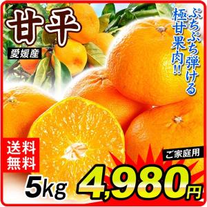 みかん 5kg 愛媛産 甘平 かんぺい ご家庭用 無選別 送料無料 食品 フルーツ 果物 国華園