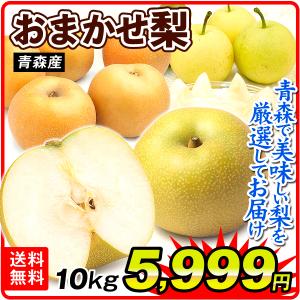 （数量限定）梨 10kg 青森産  おまかせ梨（豊水 幸水 多摩 八雲など）木箱 品種おまかせ 産地直送 和梨 ご家庭用 食品 フルーツ 果物 国華園