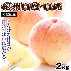 もも 2kg 紀州白鳳・白桃 和歌山産 白鳳 白桃 桃 ピーチ 果物 フルーツ 送料無料 食品