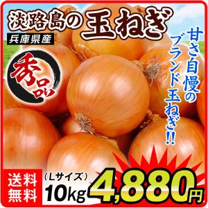 玉ねぎ 10kg 淡路島産 たまねぎ Lサイズ 送料無料 食品｜kokkaen3