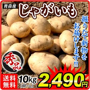 じゃがいも 10kg 青森産 新じゃがいも M〜Lサイズ 秀品