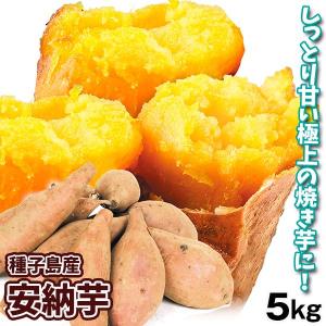 さつまいも 5kg 安納芋 種子島産 送料無料 食品 : 花と緑 国華園
