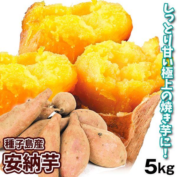 さつまいも 5kg 安納芋 種子島産 送料無料 食品