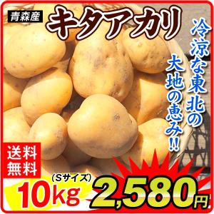 じゃがいも 10kg 訳あり キタアカリ 青森産 Sサイズ 送料無料 食品