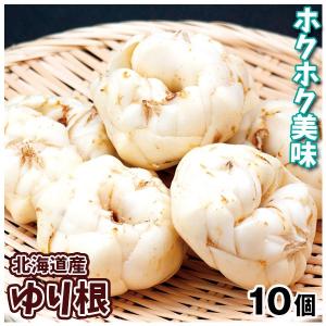 北海道産 百合根 10個 ゆりね 送料無料 食品｜kokkaen3