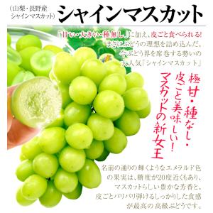 ぶどう 贈答用 シャインマスカット&種なしピオ...の詳細画像4