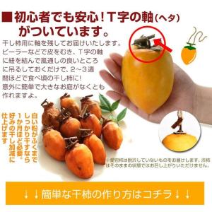 柿 10kg 愛宕柿 渋柿 大特価 愛媛産 宇...の詳細画像3