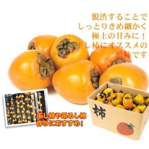 柿 10kg 愛宕柿 渋柿 大特価 愛媛産 宇...の詳細画像5