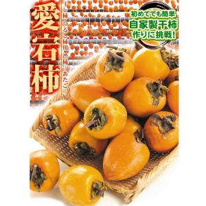 柿 10kg 愛宕柿 渋柿 大特価 愛媛産 宇...の詳細画像1