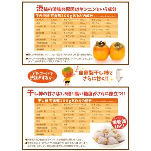 柿 10kg 愛宕柿 渋柿 大特価 愛媛産 宇...の詳細画像2