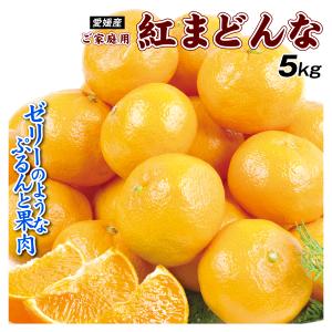 みかん 5kg 紅まどんな 愛媛産 ご家庭用 柑橘 蜜柑 送料無料 食品
