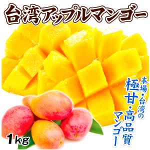 マンゴー 約1kg アップルマンゴー 台湾産 ご家庭用 芒果 南国フルーツ 送料無料 食品｜kokkaen3