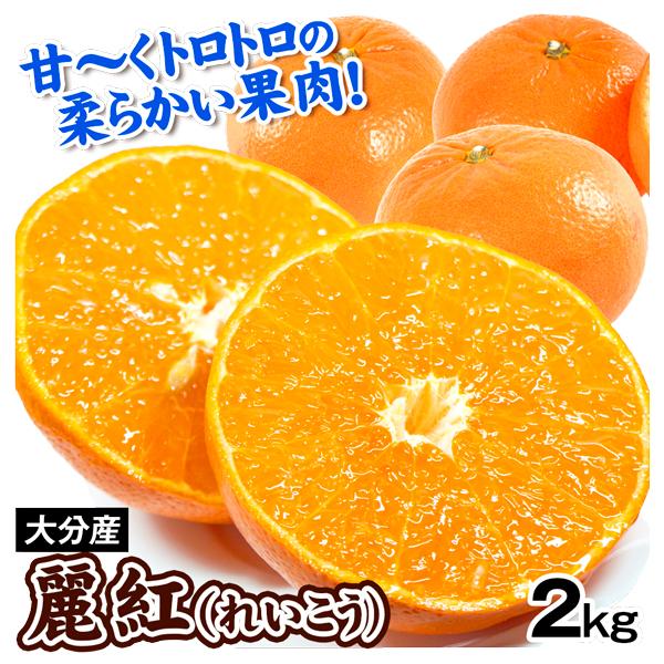 みかん 2kg 麗紅 （れいこう） 大分産 送料無料 食品 国華園