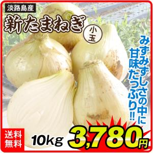 玉ねぎ 10kg 小玉 新たまねぎ 淡路島産 送料無料 食品｜kokkaen3