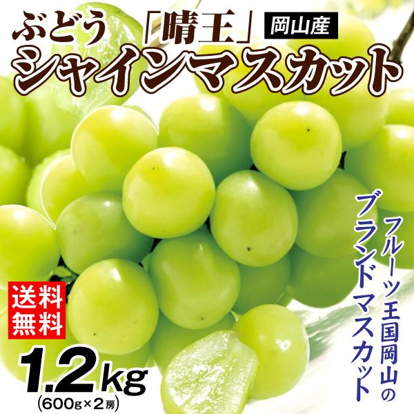 ぶどう 約1.2kg シャインマスカット 晴王（約600g×2房） 岡山産 ご家庭用 はれおう 大房...