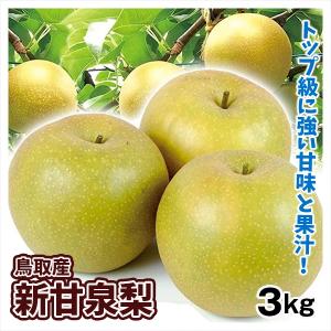 梨 3kg 鳥取産 新甘泉梨 ご家庭用 送料無料 しんかんせん 希少品種 鳥取県のブランド品種 なし フルーツ 国華園