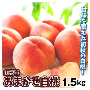 もも 1.5kg 山形産 おまかせ白桃 桃 品種おまかせ 送料 無料 食品