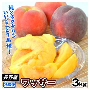 長野産 ワッサー 3kg 1箱 送料無料 冷蔵便 食品 国華園