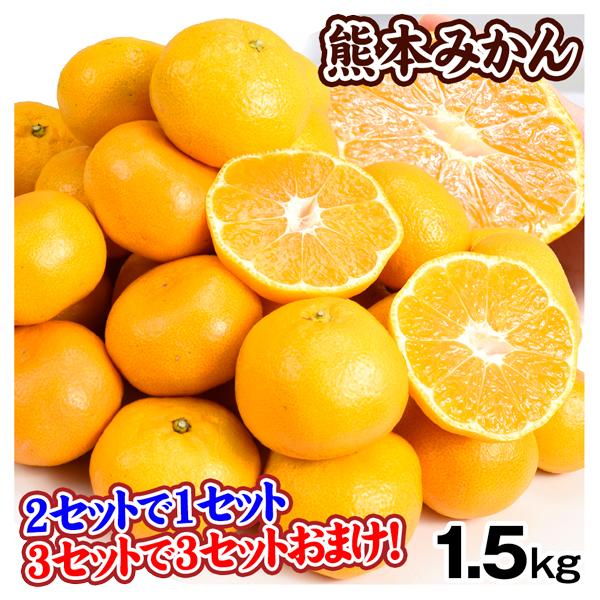 みかん 熊本みかん（1.5kg）ご家庭用 熊本産 送料無料+2セット目から増量 S〜2L 増量特典 ...