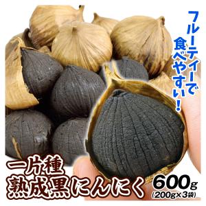 黒ニンニク 熟成 黒にんにく 40gx40袋 (1.6kg) 無添加 無着色 無香料