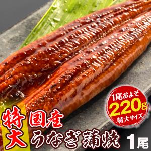 うなぎ 国産 蒲焼 一本物 特大 約220g 1尾1組【有頭・無頭をお選びください】ご家庭用 冷凍 国華園