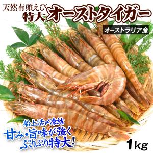 えび 特大 オーストタイガー 1kg 生食用 天然 ブラウンタイガー 食品 冷凍便｜kokkaen3