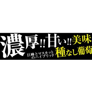 ぶどう 約1.2kg(600g×2房) ニュー...の詳細画像2