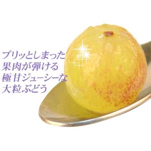 ぶどう 約1.2kg(600g×2房) ニュー...の詳細画像5