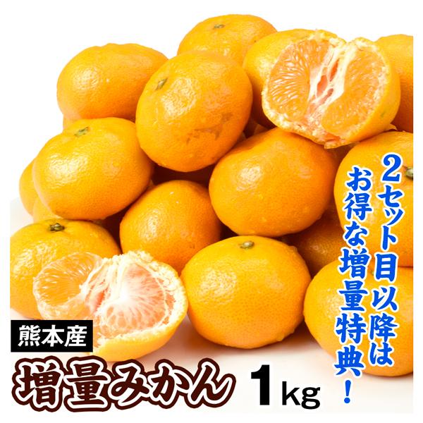 みかん 熊本みかん 1kg ご家庭用 熊本産 送料無料+2セット目から増量あり S〜2L混合 増量特...