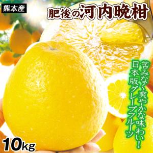 みかん 肥後の河内晩柑 10kg 熊本産 美生柑 サンジューシー 和製グレープフルーツ 柑橘 フルーツ 送料無料 食品