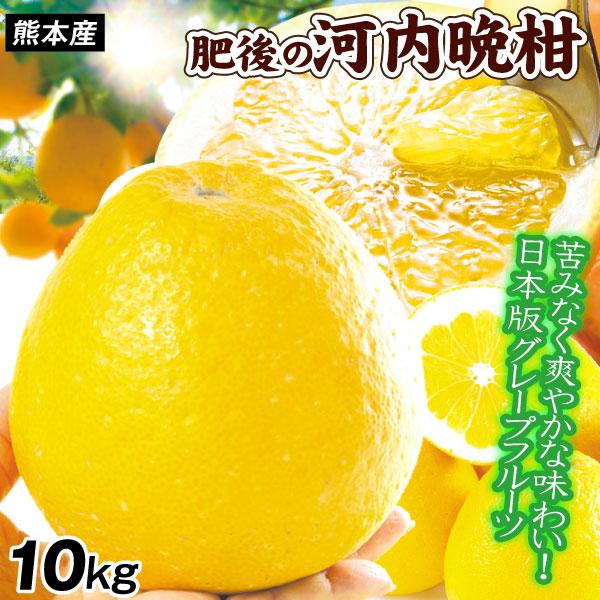 みかん 肥後の河内晩柑 10kg 熊本産 美生柑 サンジューシー 和製グレープフルーツ 柑橘 フルー...