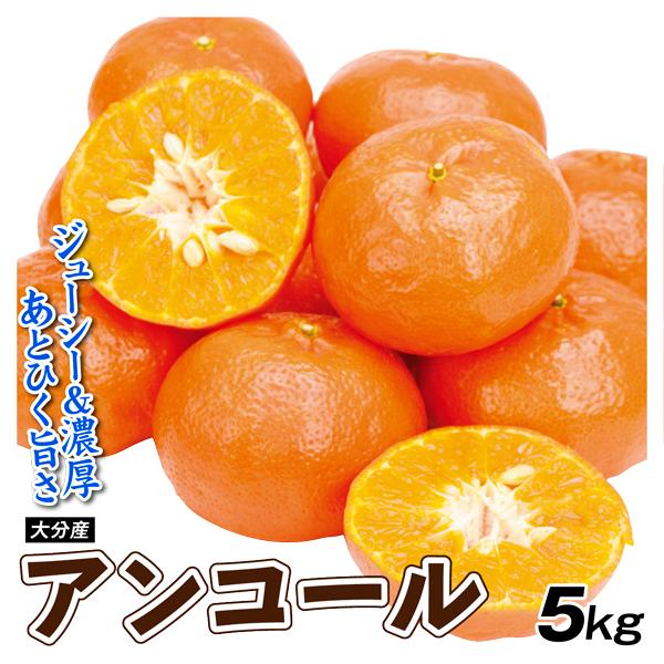 みかん 5kg アンコール 大分産 ご家庭用 送料無料 食品 国華園