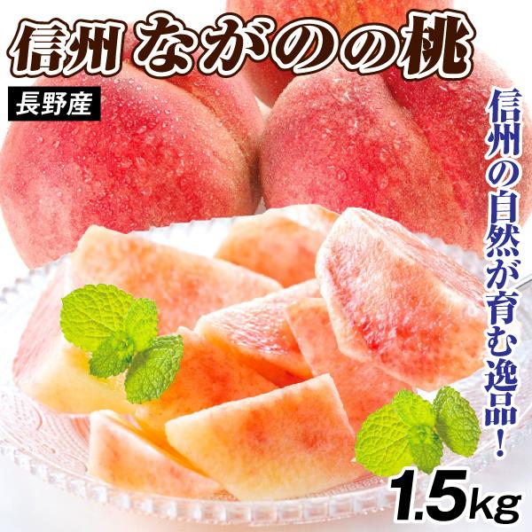 もも 1.5kg 信州長野の桃 長野産 送料無料 食品