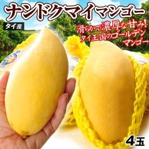 マンゴー タイ産 ナンドクマイ マンゴー ４玉 ご家庭用 約1.2kg 黄金のタマゴ ゴールデンマンゴー 希少マンゴー 熱帯果実 送料無料 食品 国華園｜kokkaen3