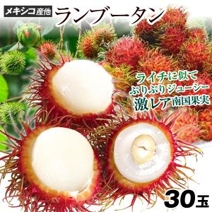 冷蔵クール便 ベトナム産 生リュウガン 1500g龍眼 新鮮果物 生龍眼（リュウガン）約500g ベトナム産｜空輸直送 フレッシュ生竜眼