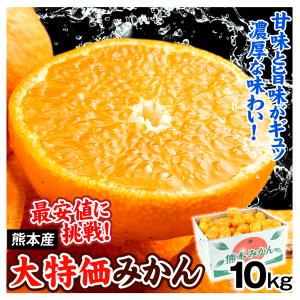 【2025年1月より発送】 みかん 10kg 大特価 熊本産 蜜柑 柑橘 温州 フルーツ 果物 送料無料 食品