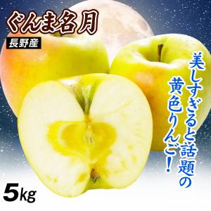 りんご 5kg ぐんま名月 長野産 ご家庭用 林...の商品画像