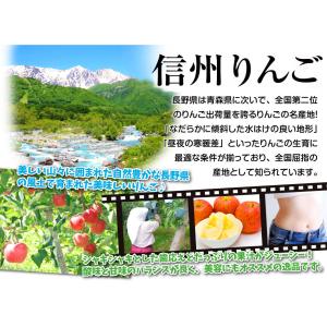 りんご 5kg ぐんま名月 長野産 ご家庭用 ...の詳細画像3