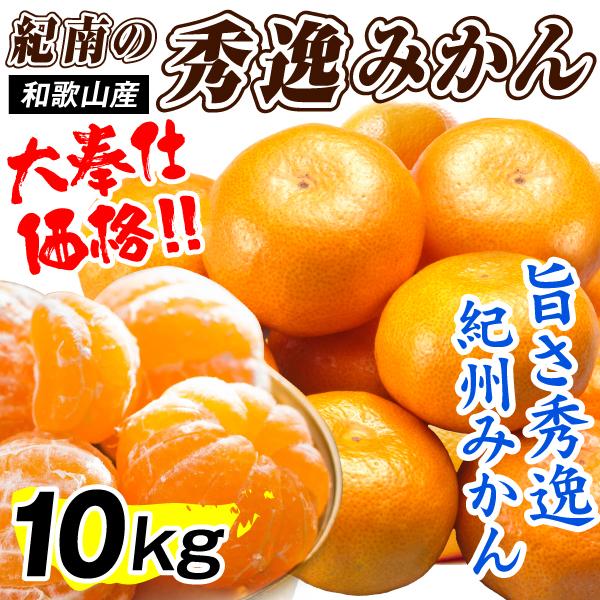みかん 10kg 紀南の秀逸みかん 和歌山産 ご家庭用 温州 ミカン 柑橘 蜜柑 mikan 送料無...