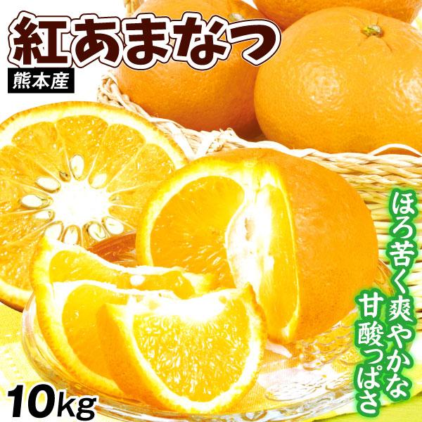 みかん 10kg 紅甘夏 熊本産 ご家庭用 甘夏 べにあまなつ 柑橘 果物 フルーツ 送料無料 食品