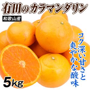 みかん 5kg 有田のカラマンダリン 和歌山産 ...の商品画像