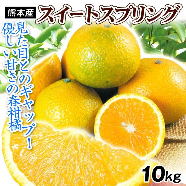 みかん 10kg スイートスプリング 熊本産 見た目を裏切る優しい甘さ 希少かんきつ 送料無料 食品...