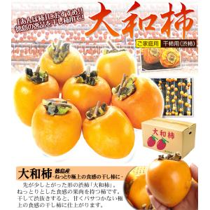 柿 徳島産 大和柿 干柿用渋柿 10kg1箱 ...の詳細画像1