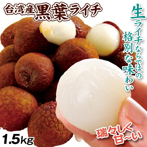 ライチ 1.5kg 黒葉 生ライチ 台湾産 茘枝 フレッシュライチ 送料無料 冷蔵便 食品