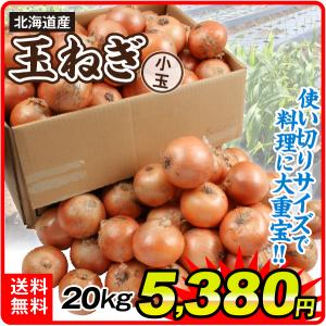 玉ねぎ 20kg 小玉たまねぎ 北海道産 送料無料 食品｜kokkaen3