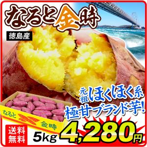 さつまいも 5kg 徳島産 お買得 なると金時 1箱 送料無料 鳴門 なるときんとき 芋 野菜 食品 国華園｜kokkaen3