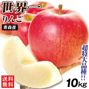 りんご 10kg 世界一 青森産 送料無料 食品 : 花と緑 国華園 - 通販