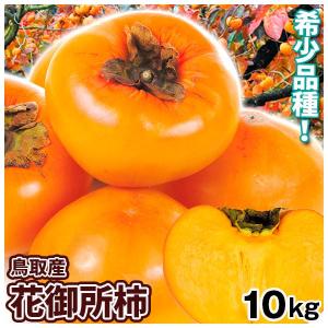 花御所 柿の商品一覧 通販 Yahoo ショッピング